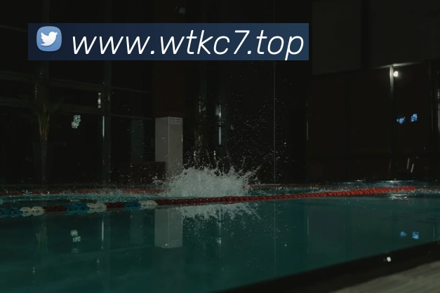 c7娱乐平台生态图