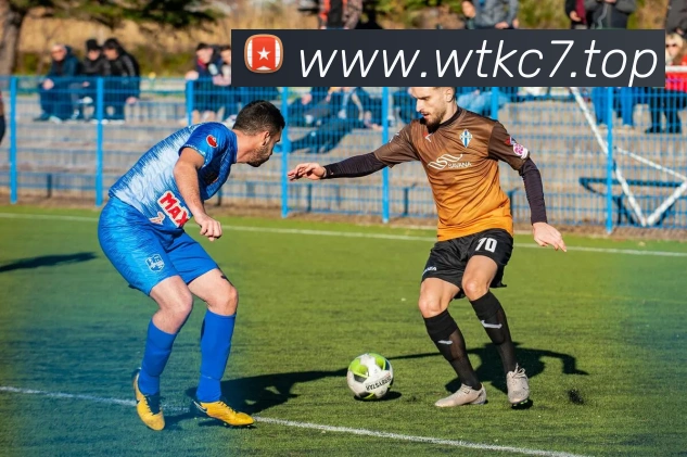 企业概况